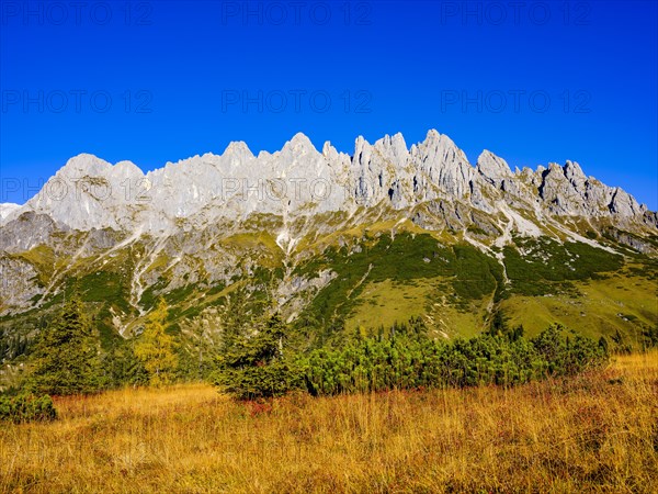 Mandlwaende towering over a mountain meadow