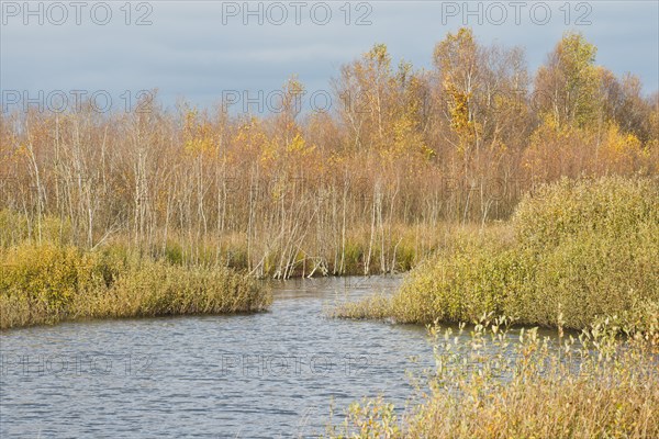 Autumn moorland