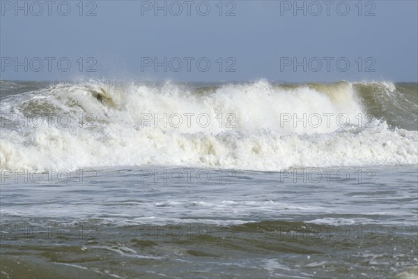 Waves on the North Sea coast