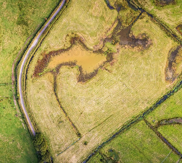 Wetlands and meadows in RSPB Exminster and Powderham Marshe from a drone
