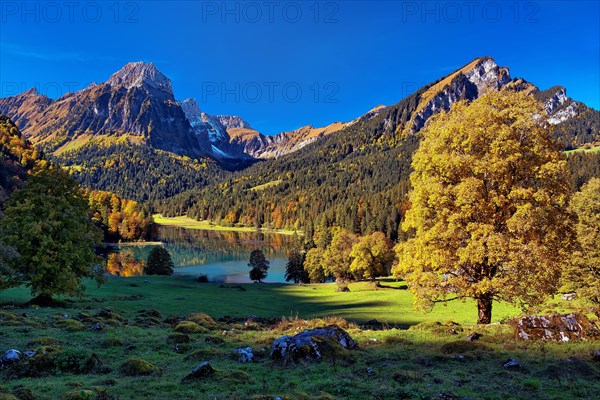 Obersee in autumn