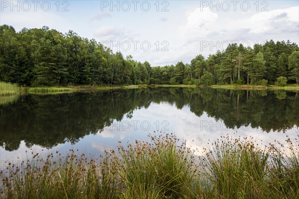 Lake with water reflection