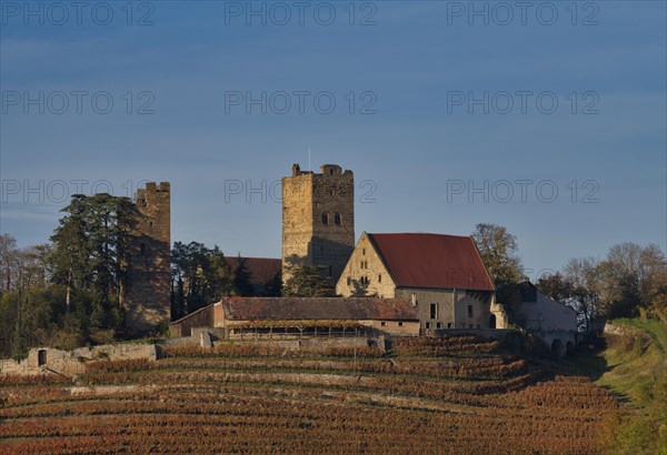 Neipperg Castle in autumn