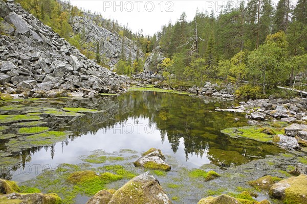 Lake in Pyhae-Luosto National Park