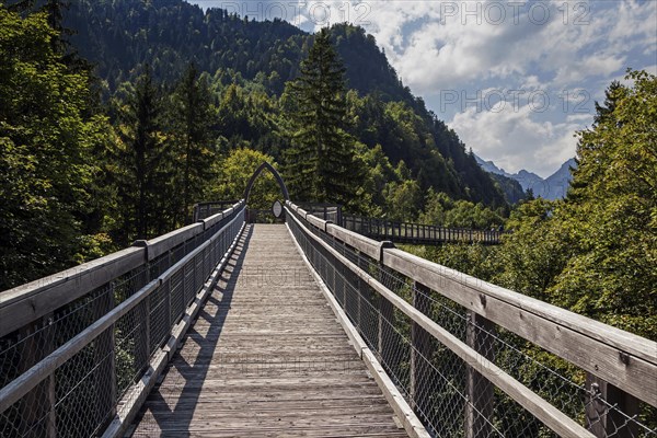 Treetop path