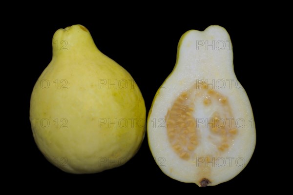 Close-up of a halved and a whole Egyptian guava