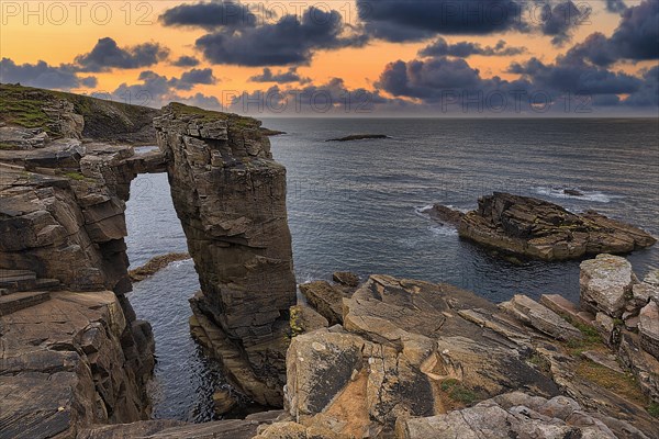 Rock Needle with Bridge