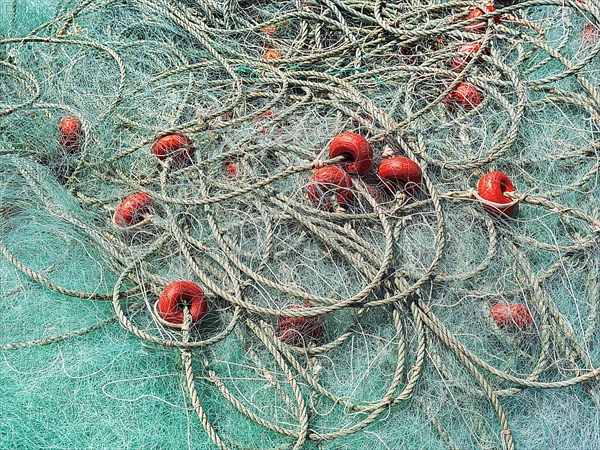 Fishing net in the harbour