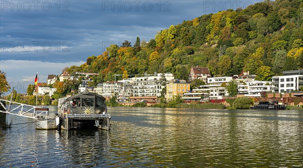 Old villas on the banks of the Neckar in Heidelberg