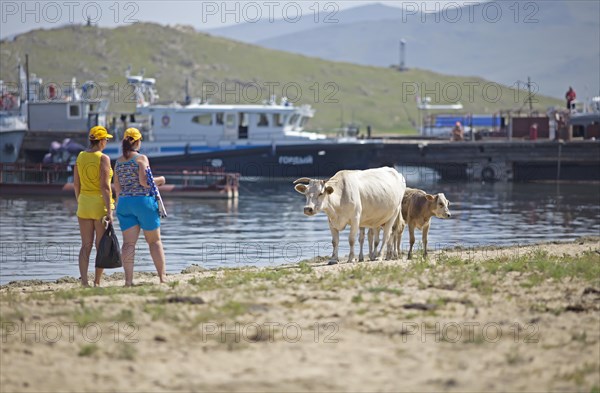 Women and cattle on the beach of Bazarnaya Bay