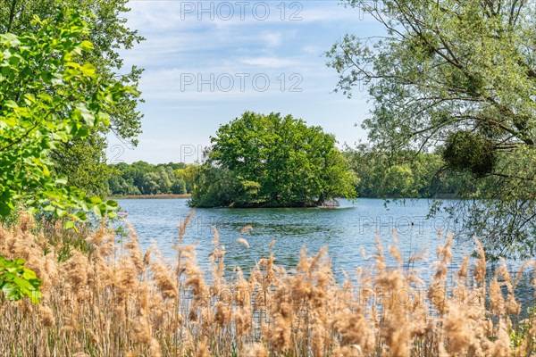 Island in Nymphensee