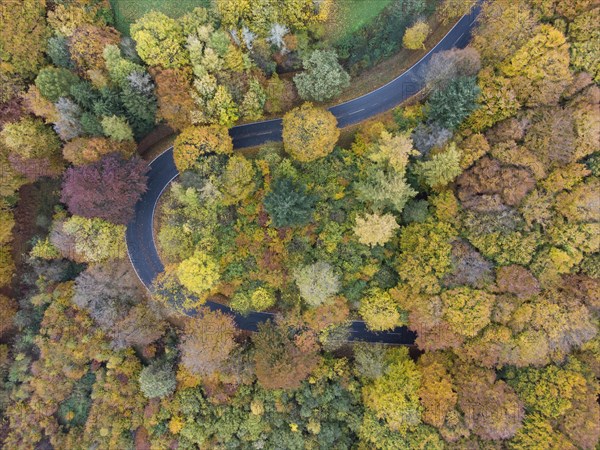 Aerial view of a serpentine in the Teutoburg Forest in autumn