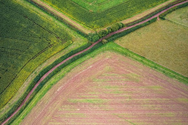 Fields and Meadows over Torbay from a drone
