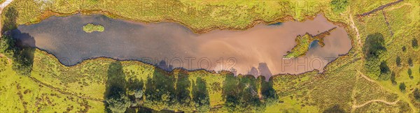 Panorama of Pond in Powderham Park from a drone