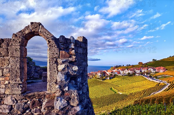 Village view of Rivaz with autumn-coloured vineyards