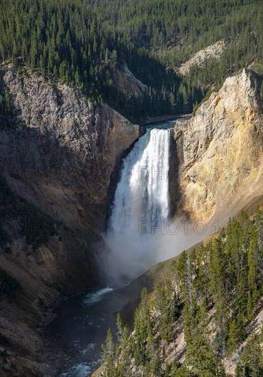 Lower Falls