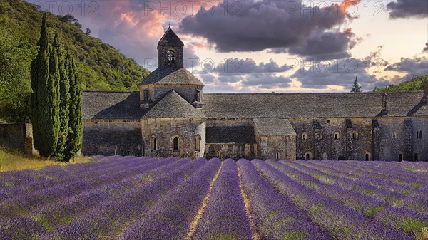 Romanesque-style Cistercian monastery of Notre-Dame de Senanque