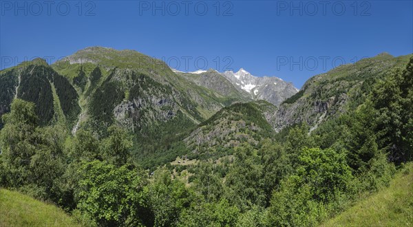 Landscape with the Wannenhorn from the hiking trail between Bellwald and Aspi-Titter suspension bridge