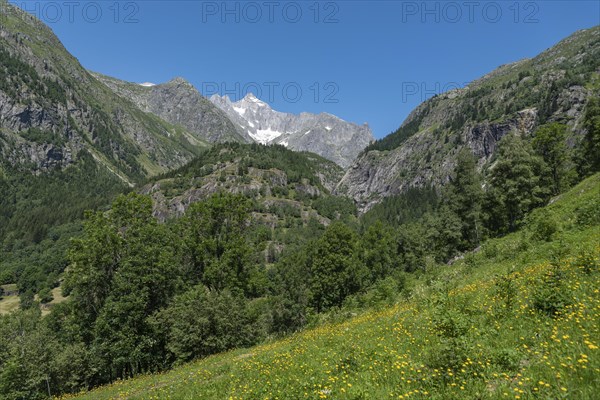 Landscape with the Wannenhorn from the hiking trail between Bellwald and Aspi-Titter suspension bridge