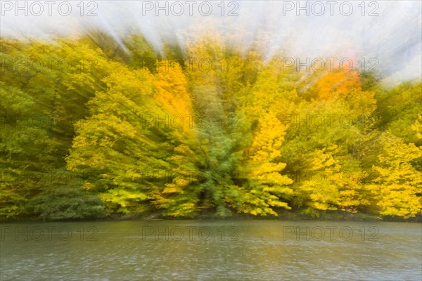 Autumn impression by the river