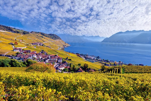 Village view of Riex with autumn-coloured vineyards