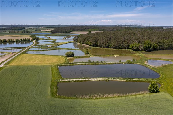 Fish ponds