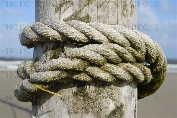 Rope tied around wooden stake
