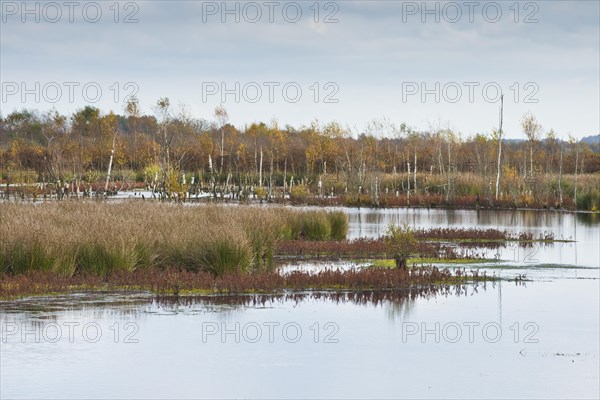 Autumn moorland