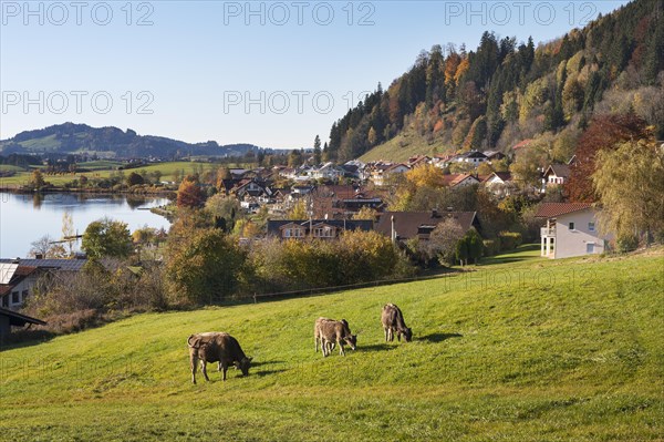 Autumn atmosphere at Hopfensee