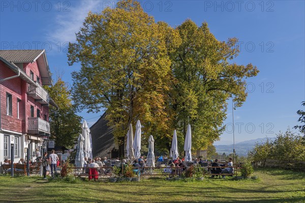 Restaurant and beer garden at Mariaberg with autumnal chestnut trees