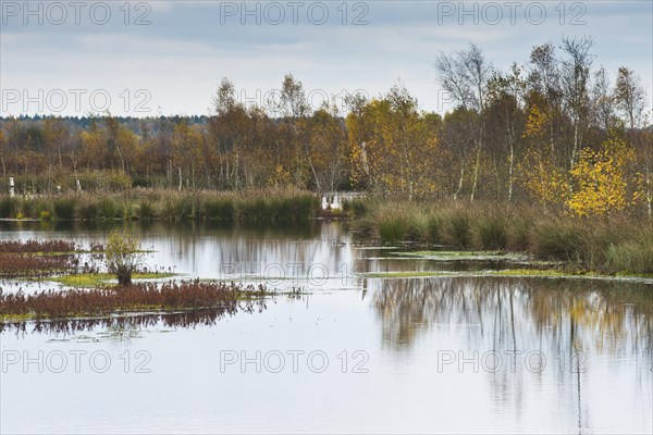 Autumn moorland