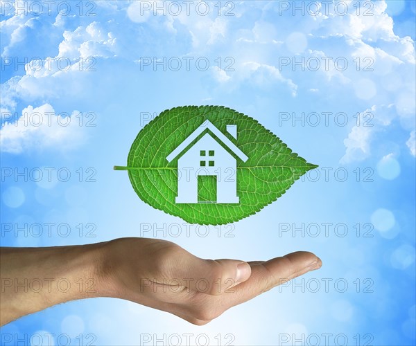 Opened hand holding a green leaf