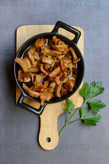 Pickled chanterelles