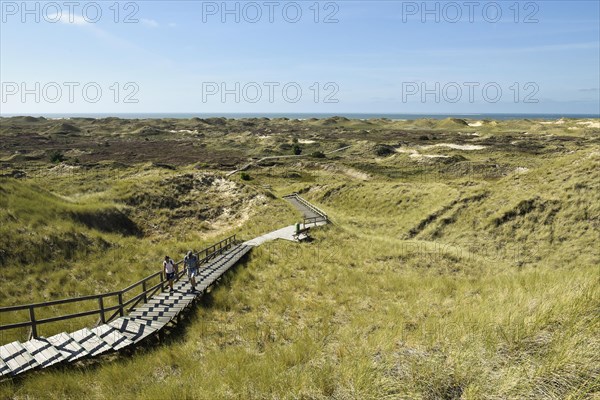 Boardwalks with trefoils