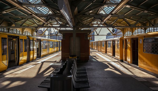 Trains at the terminus