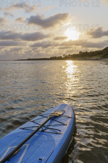 SUP Board at the sea in the sunset
