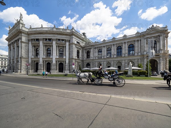 Fiaker in front of the Burgtheater