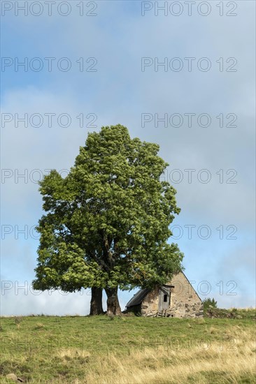 Old farm on Cezallier plateau in the Auvergne volcanoes regional natural park