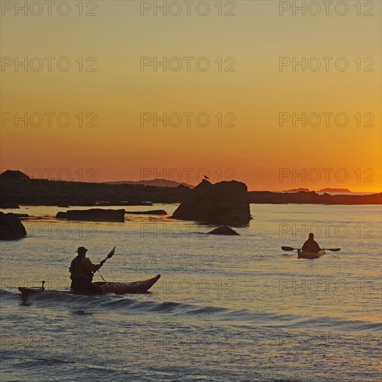 Kayakers paddling on sea