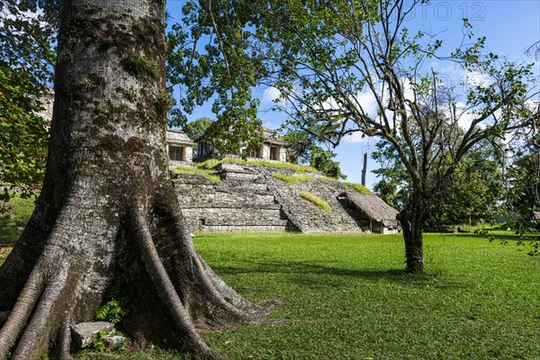 Unesco world heritage site the Maya ruins of Palenque