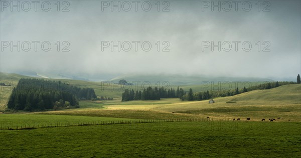 Cezallier plateau in the Auvergne volcanoes regional natural park