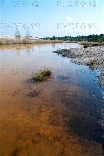 Post-excavation landscape