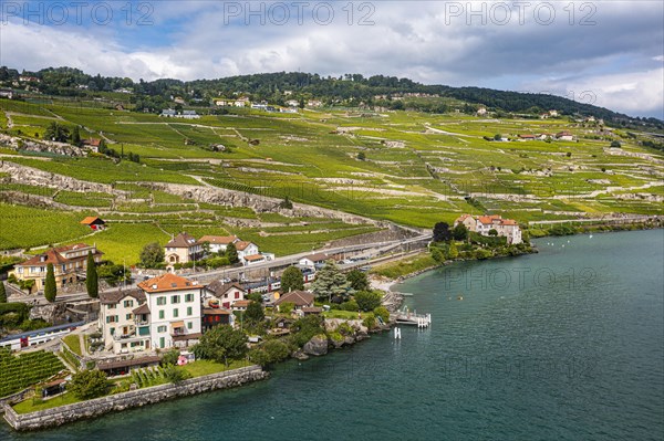 Aerial of the Unesco site Lavaux vineyard terraces