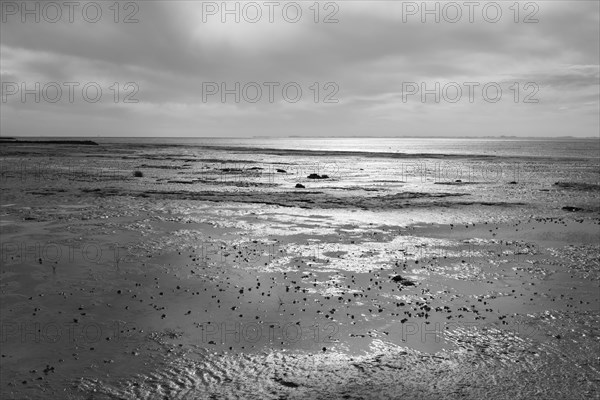 Low tide on the North Sea coast