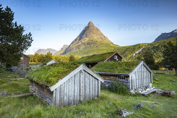 Traditional houses