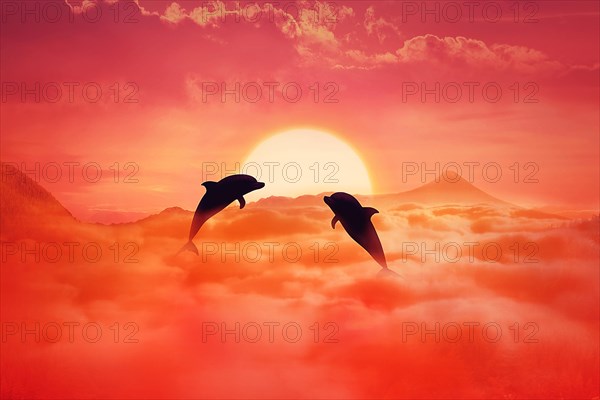 Silhouette of two playful dolphins