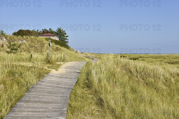 Dune paths near Wittduen