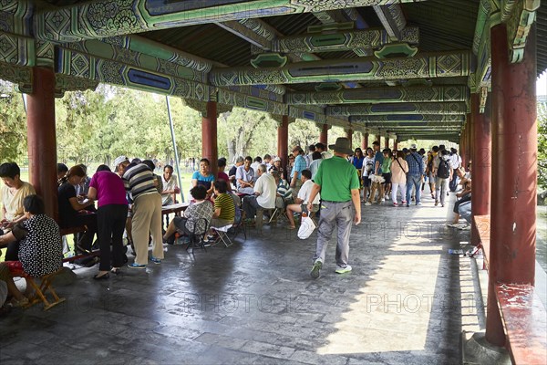 Card Players in Altar of Heaven Park