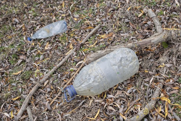 Discarded plastic bottles in a meadow in the shore zone