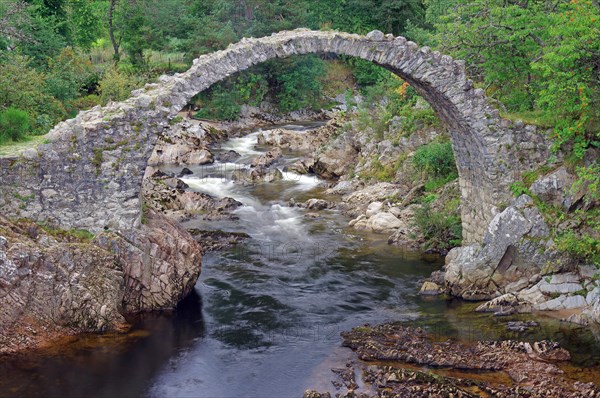 Old curved stone bridge